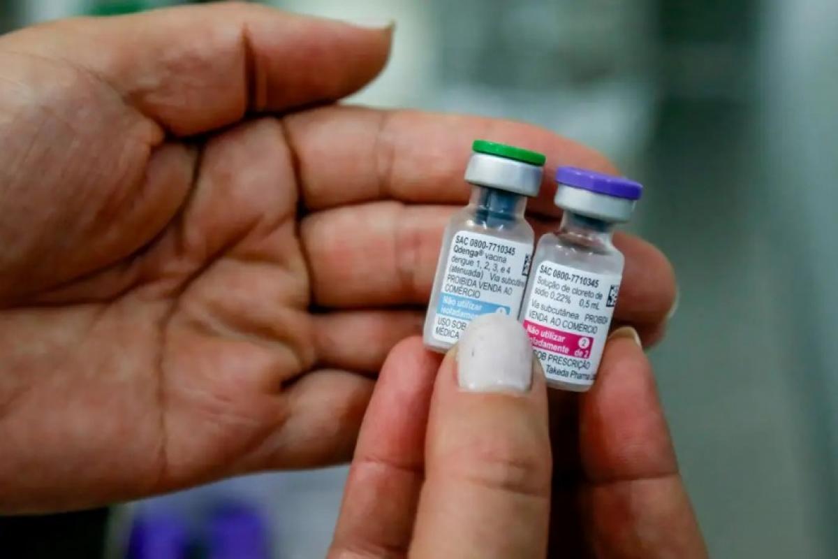 Atualmente, dois imunizantes contra a dengue são aprovados pela Anvisa 