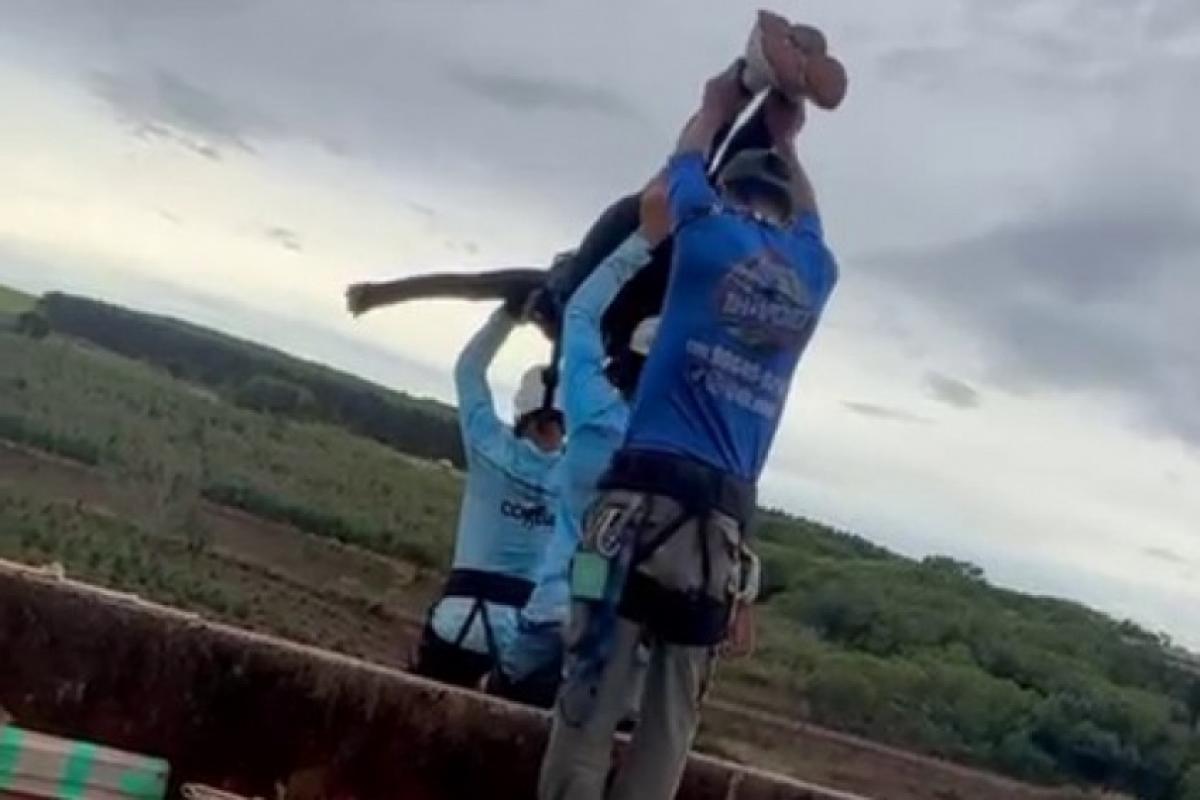 Momento em que Maria Eduarda Rodrigues de Freitas, de 21 anos, é lançada da plataforma durante salto de rope jump 
