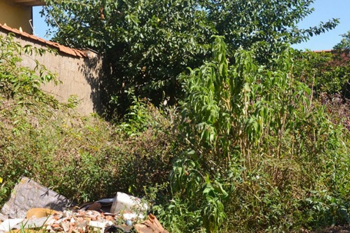 Terreno sujo em Franca: notificações foram publicadas no Diário Oficial 