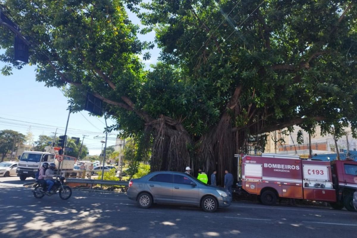 O problema ainda provocou um incêndio em uma árvore