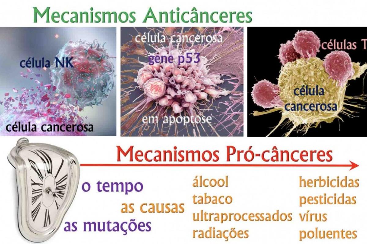 Painel com mecanismos que combatem o aparecimento de cânceres e fatores que favorecem o seu desenvolvimento.