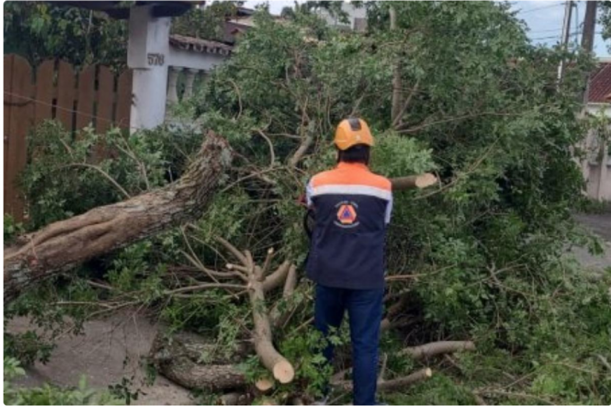 Os ventos, que chegaram a 125 km/h, causaram a morte de pelo menos cinco pessoas nos estados de São Paulo e Rio de Janeiro nessa quarta-feira (29).