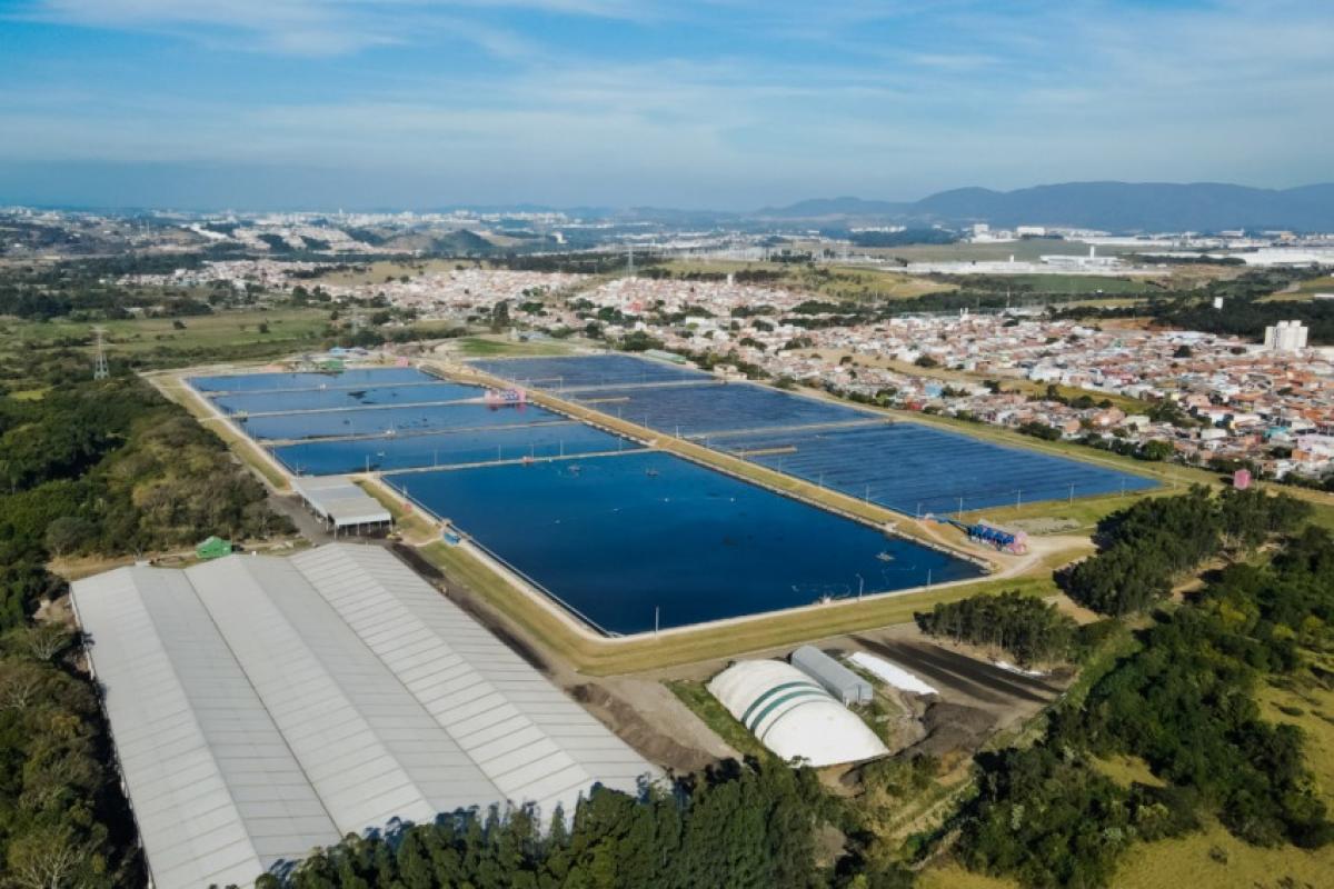 Durante todo o ano de 2025 foram retiradas 248 toneladas do resíduo na rede