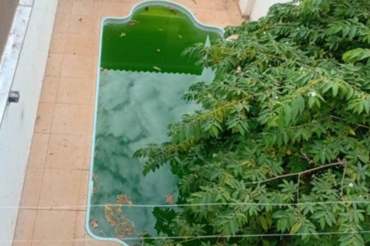 Vizinhos relatam aumento de pernilongos e temem risco de dengue