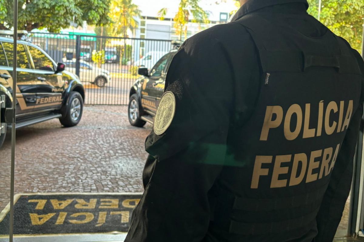 Criança foi acolhida durante cumprimento dos mandados, acompanhado pelo Conselho Tutelar; investigação começou após denúncia internacional