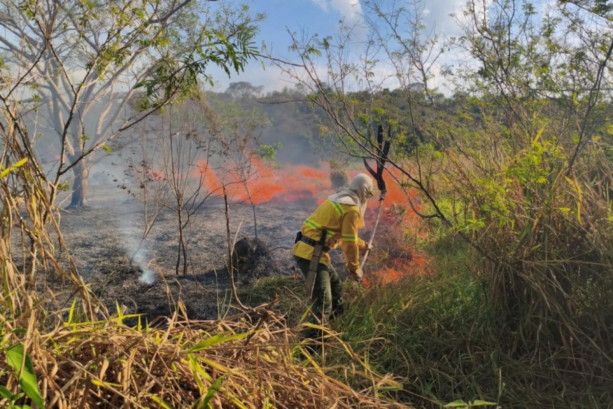 Um incêndio de grandes proporções atingiu uma área de pastagem às margens da Avenida Antônio Pincinatto, próximo à empresa BigNardi, em Jundiaí. 