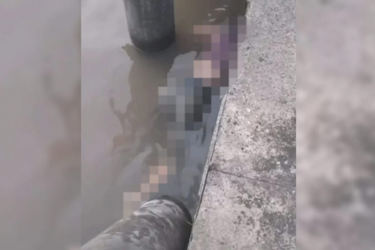  Após o resgate, o corpo de Wyni foi encaminhado à Polícia Científica. 