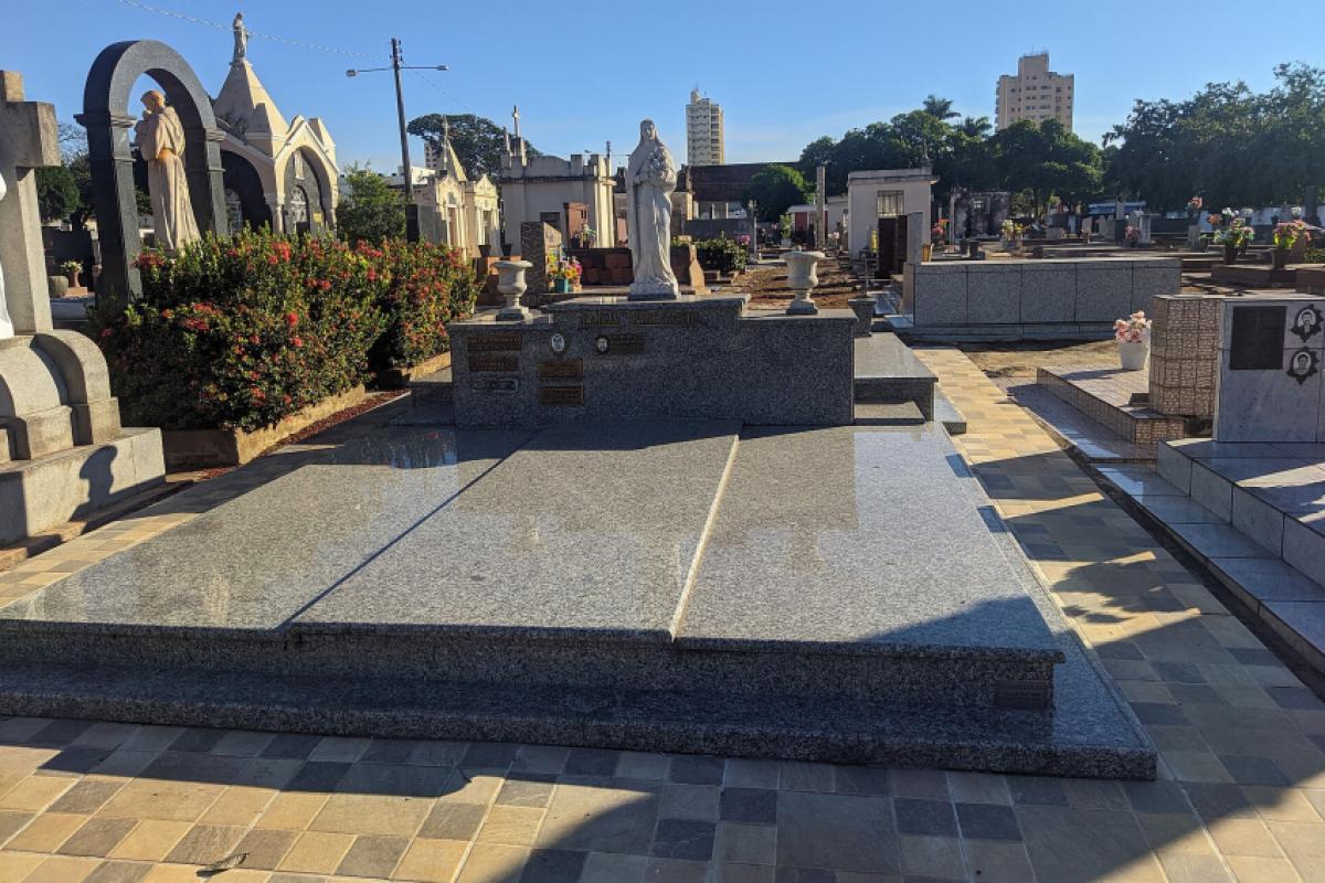 Imagem Notícia