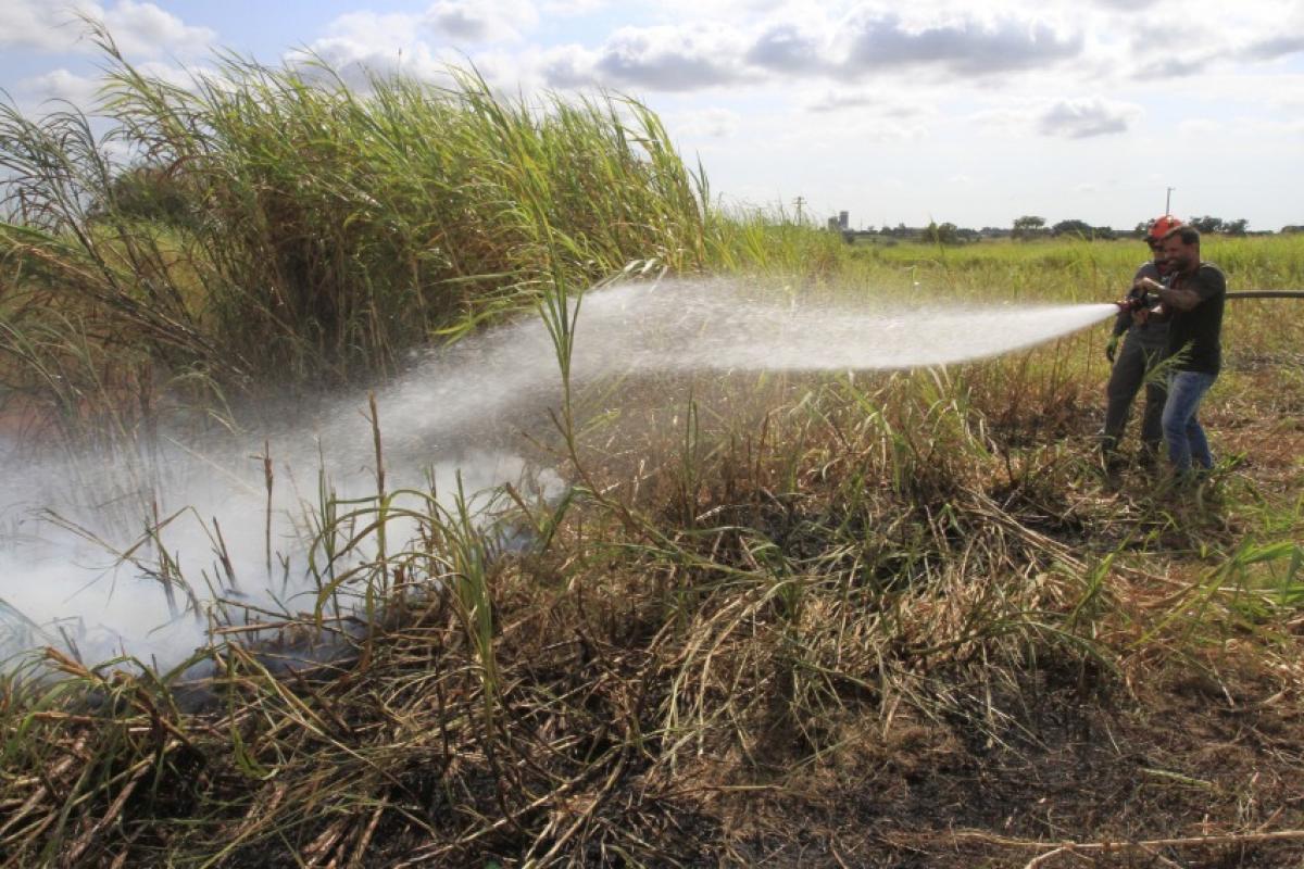 Balanço da Defesa Civil registrou 169 focos de queimadas desde maio e agosto já teve alerta para calor acima de 35°C e umidade de 19,5%