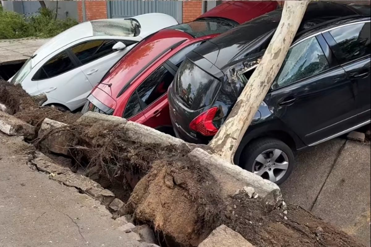 Câmeras de segurança registraram o momento.