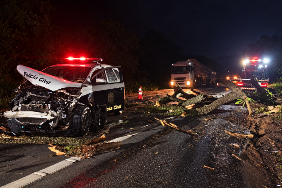 Ocorrência foi registrada durante forte ventania na Rodovia Geraldo de Barros.