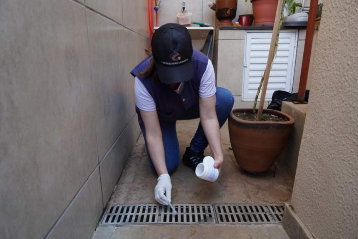 Cidade registrou 85 casos no mês, contra 77 em agosto de 2025; período de calor e chuva começa a preocupar