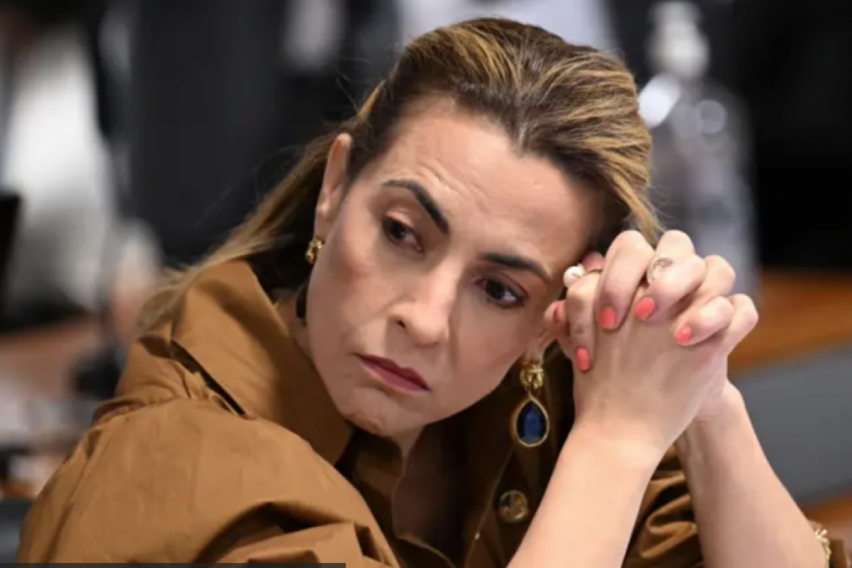 A proposta é da senadora Soraya Thronicke (PSB-MS) e está em tramitação. 