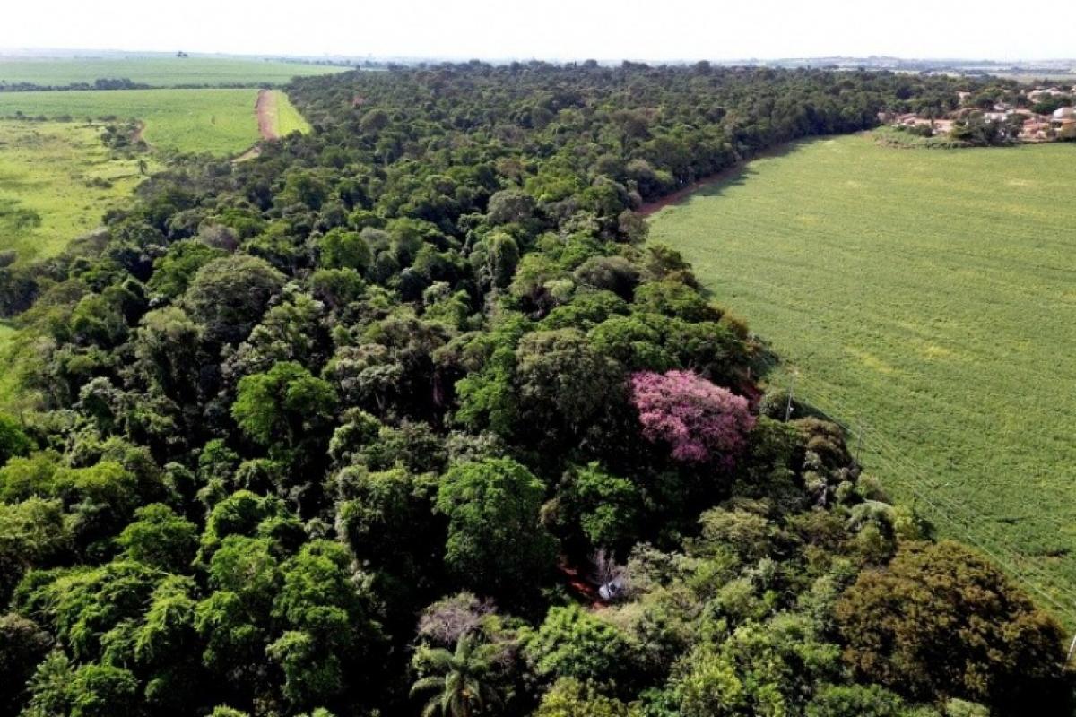 Modelo desenvolvido em pesquisa da Unicamp aponta tendência de redução, mas projeta emissão bruta de 1,87 bilhão de toneladas em 2030.