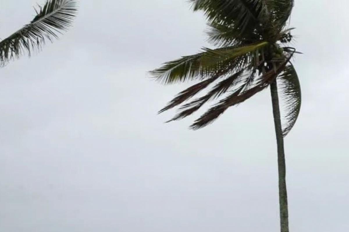 Rajada de 61 km/h coloca Araçatuba entre cidades afetadas pelo temporal