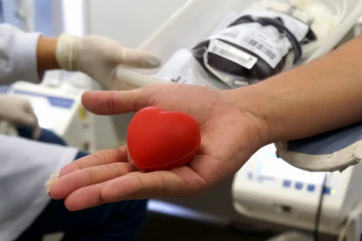 Os fiéis poderão decidir individualmente se querem doar componentes do sangue para outras pessoas, bem como se aceitam