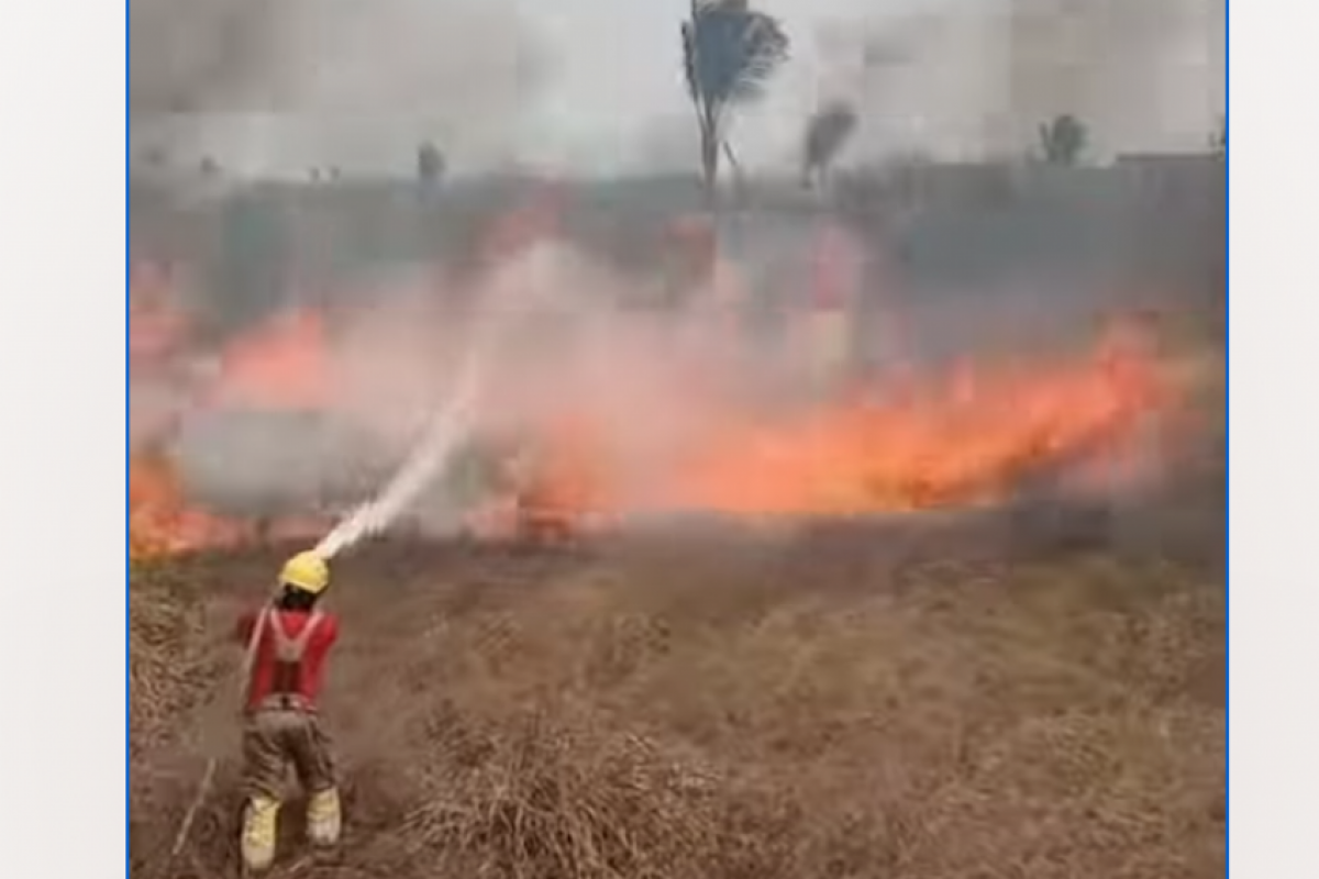 O número de focos no Amazonas mais do que dobrou neste ano, segundo dados do Inpe.