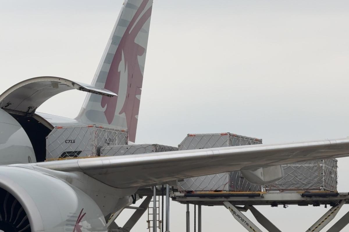 Aeroporto de Campinas terá nove voos vindos do México para o GP de São Paulo; operação mobiliza mais de 100 profissionais.